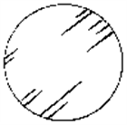 德國玻璃圓形培養(yǎng)片（German Glass Cover Slips）